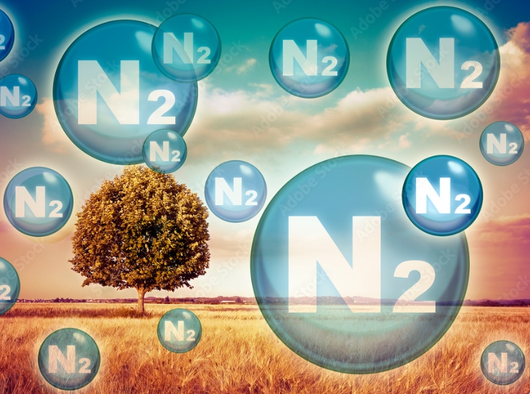 What-is-nitrogen-gas