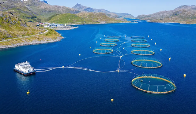 VPSA oxygen generator VPSA oxygen generator