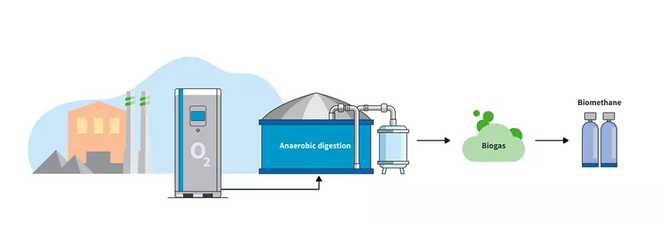 a PSA Oxygen Generator Upgrade Biogas to Biomethane Efficiently